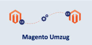 Magento, Umzug, Website-Migration, E-Commerce-Plattform, Onlineshop, Datenübertragung, Shop-Migration, Technologie